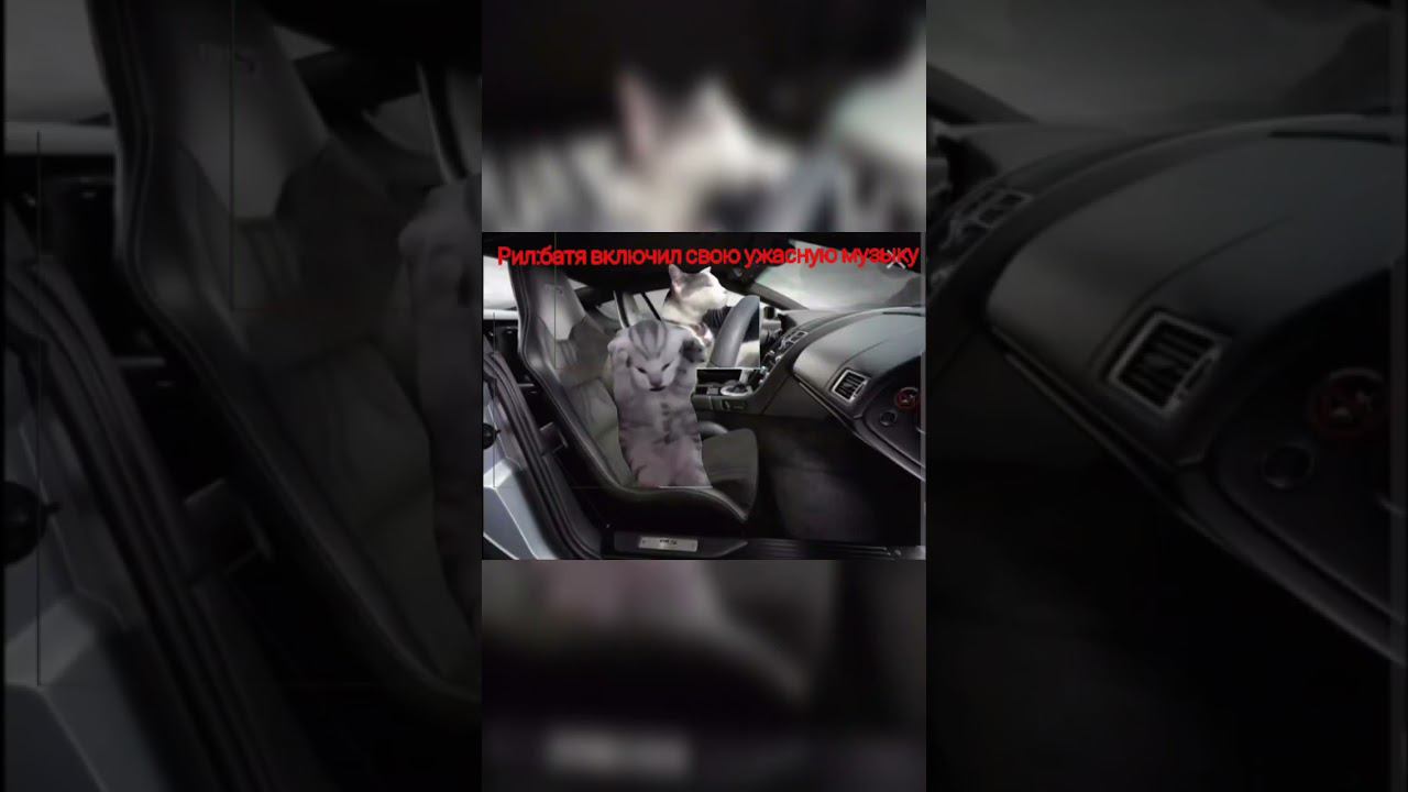 рил батя включил музыку(видео моё) смотреть онлайн