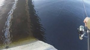 ЛОВЛЯ ОКУНЯ С ЛОДКИ НА ТЕЙЛ-СПИННЕР . СЕЗОН 2020.