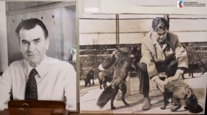 ПЕРВЫЕ В МИРЕ. Выпуск №11. Доместикация, лисы и Дмитрий Беляев