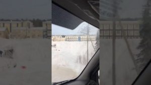 Еруда полюс золото