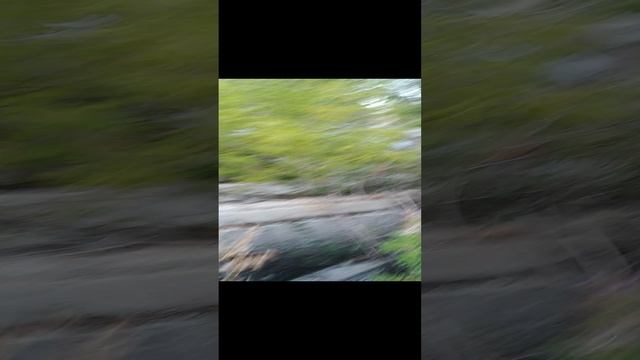 Пробираемся по заброшке в лесу с проходной узкоколейкой и подземной частью