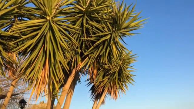 Озеро Браччано. Лацио. Италия. Bracciano. Lazio. Italia. смотреть онлайн