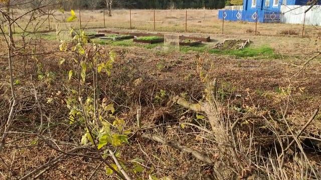 БОЛОТО НА УЧАСТКЕ / А МЫ УЕХАЛИ В ДЕРЕВНЮ смотреть онлайн