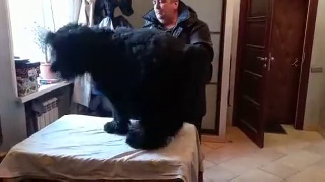 Возвращаюсь я с работы 2. смотреть онлайн