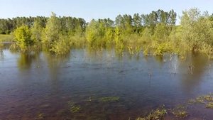 Река Сейм. Конотоп. 10.05.18.