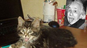 40 Самых Безумных Совпадений! В Это Сложно Поверить