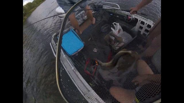 Рыбалка в Астрахани джиг ,троллинг смотреть онлайн