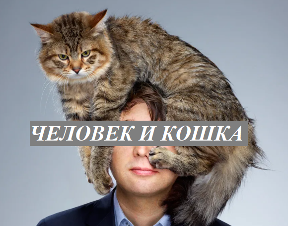 Человек и Кошка