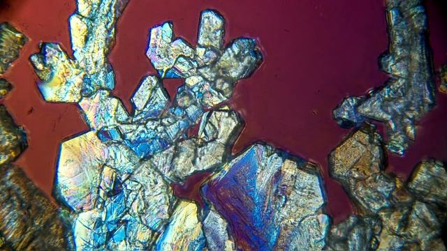 Высший разум: Теория управляемого хаоса и поиск сверх ресурса. смотреть онлайн