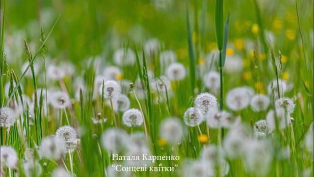 Наталя Карпенко. Вірші про квіти