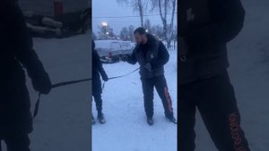 Собака тянет поводок? Это легко исправить.
