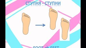 ИСКЛЮЧЕНИЯ МНОЖЕСТВЕННОГО ЧИСЛА В АНГЛИЙСКОМ