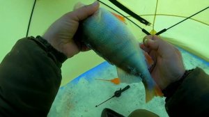 Рыбалка в Сергеевском Водохранилище. Окуни кабаны как в Якутии.