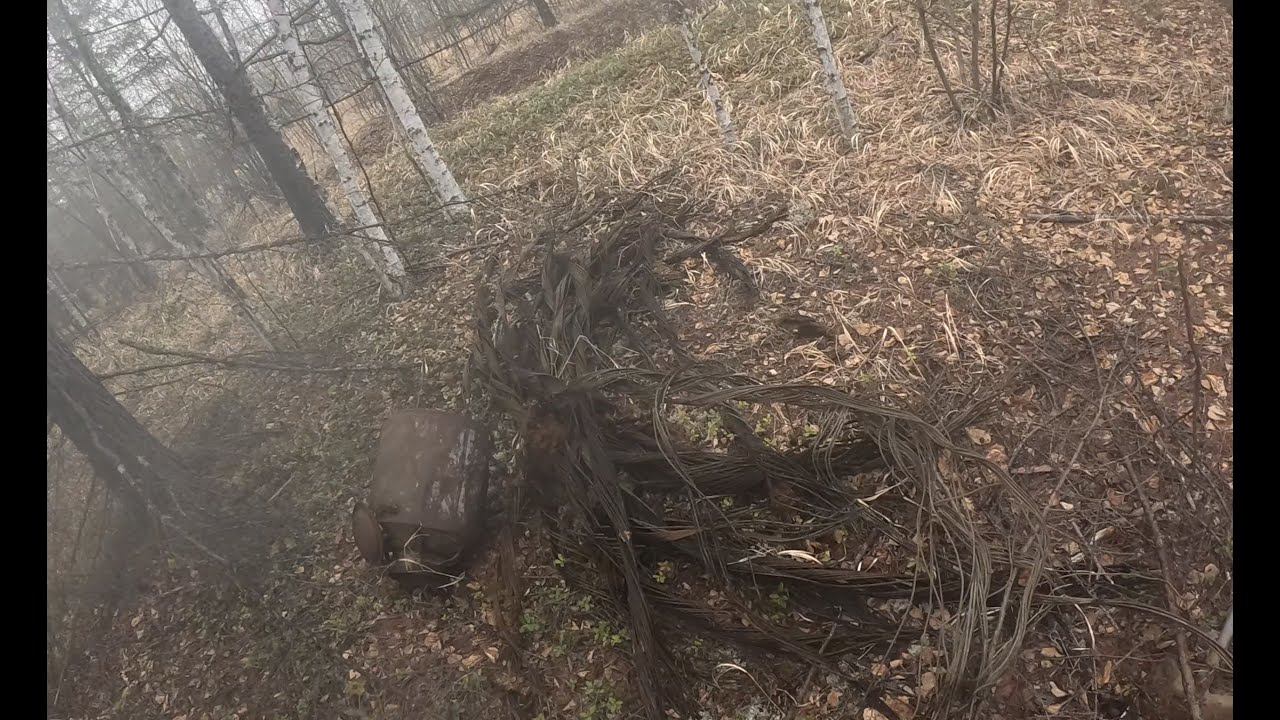 Разведка. Старые деляны. Коп металла