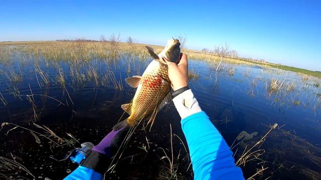 Рогатка для рыбалки НАРЕЗКА лучших выстрелов Самая лучшая рогатка Это рыбалка или охота ЕКЛМН??? смотреть онлайн