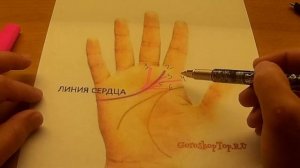 Линия Сердца - Хиромантия