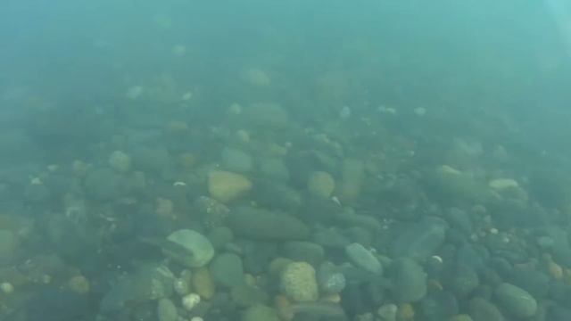 Денис и Нарсоу на море. Подводная съемка.