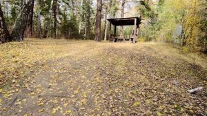 Челябинск. живая природа Южного Урала. Золотой осенний лес, мосток через речку Чикинку. 13.10.2022г