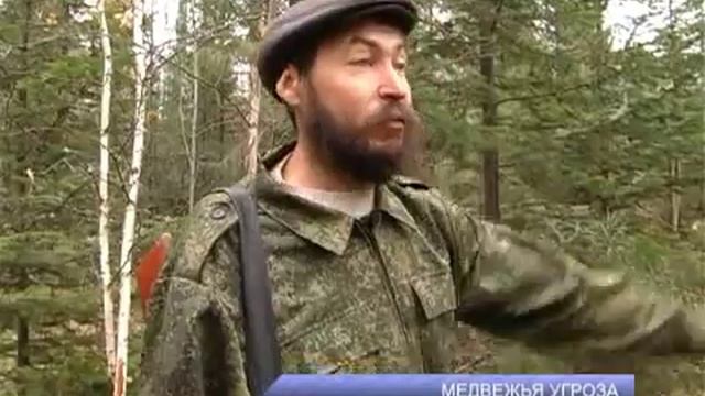 Осторожно медведи смотреть онлайн