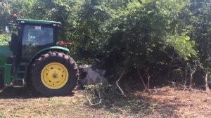 Лесной мульчер с фиксированными резцами FAE UMM/DT