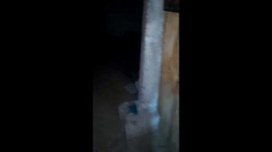 Вызывающие духов: ночью в подвале показываем как вызвать духа Смайл Дога, детское видео