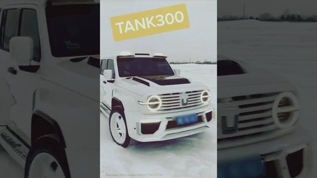 Внедорожник Tank 300