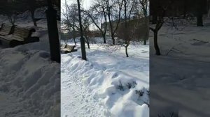 прятки догонялки от нашего оператора