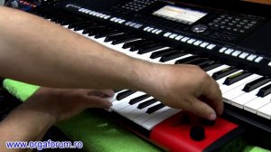 YAMAHA Sonogenic shs 500 DEMO VOICE