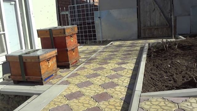 зимовка пчел в сарае удачный эксперимент смотреть онлайн