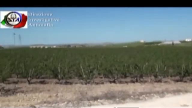 DIA, INGENTE SEQUESTRO A CAPIZZI 05 04 2016 смотреть онлайн