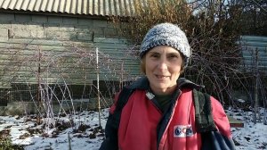 Розы. Искореняющие обработки  Железным купоросом в декабре.