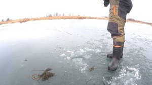 ЩУКА ПО ПЕРВОМУ ЛЬДУ. РЫБАЛКА НА ЧУЛЫМЕ  В НОЯБРЬ.