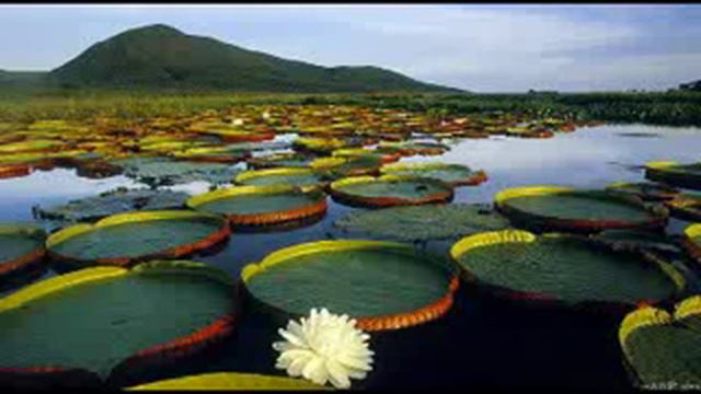 Хакимов А Г Карма Размышления 4 Что такое карма и какая она бывает смотреть онлайн