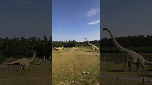 Dinopark #sommer #atmosphere #spaß #2024 #sightseeing #walk #berlin #dinosaur #natur