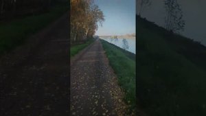 Велодорожка Москва-Санкт Петербург