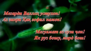ЯК РУЗ БОШУ МАРД БОШ (КИСМИ ПУРРА)-УМЕДИ РАХМАТ 2018?