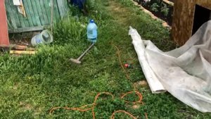 Кустовая петуния в кашпо и в открытом грунте