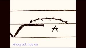 Обрезка винограда