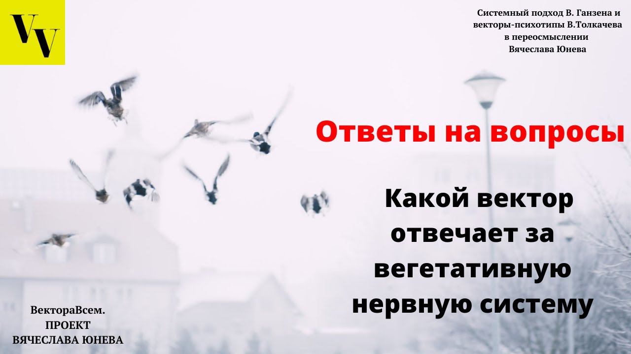 Какой вектор отвечает за вегетативную нервную систему. ВектораВсем. Проект Вячеслава Юнева