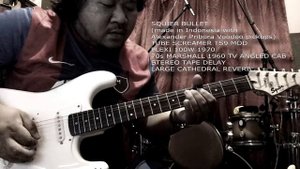 ALEXANDER PRIBORA CUSTOM PICKUPS(VOODOO)
