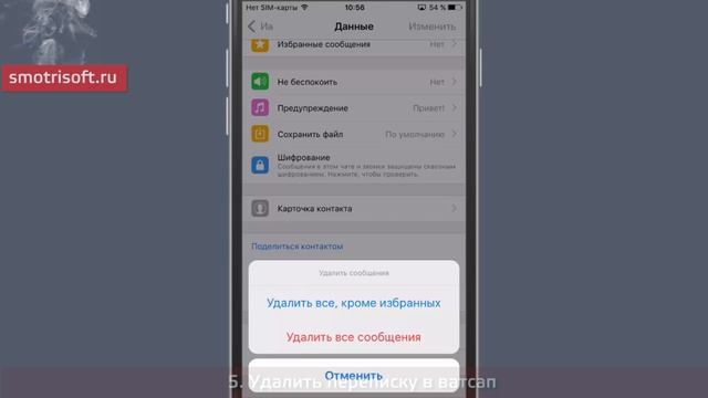 Фишки WhatsApp, о которых вы не знали