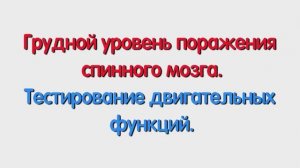 С. Грудной уровень поражения спинного мозга. Тест двигательных функций.