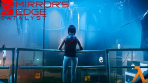 Огромные потери ► Mirror's Edge™ Catalyst |5|