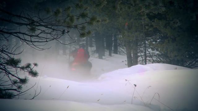 Dayco Snowmobile Belts - Pep Boys смотреть онлайн