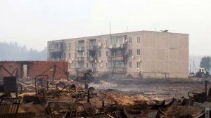 поселок моховое в московской области в луховицком районе после лесных пожаров в2010 году