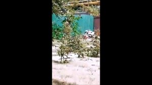 Макс корж-Слово пацанам.На одной из старых дач. в кругу близких