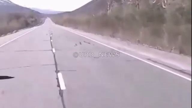 На Камчатке туристы отбивались от медведя велосипедом!  В минувшую пятницу на трассе Петропавловск