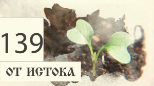 Программа "ОТ ИСТОКА". Выпуск №139