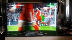 Самсунг 4К изогнутым экраном на экране пояаилось пятно