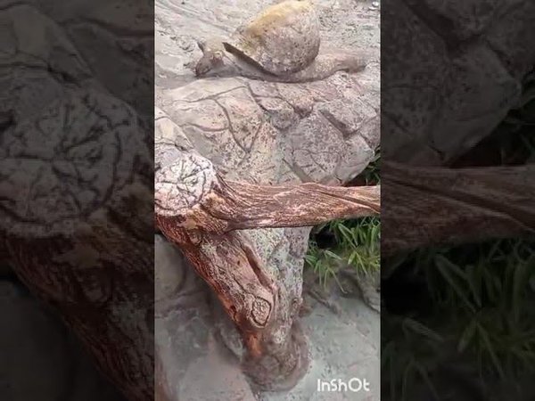 Профсоюз пролетариев умственного труда